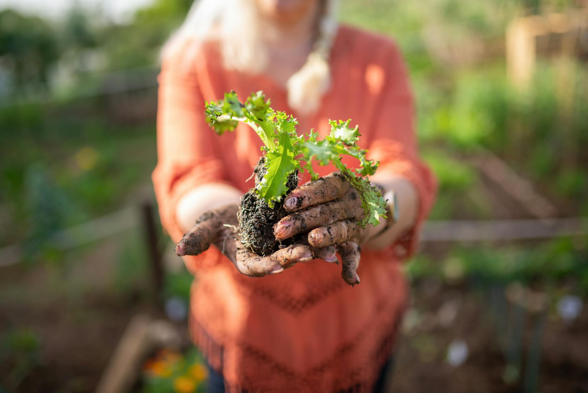 A gardener is holding a young plant in her dirt-covered hands, signifying growth and nature.