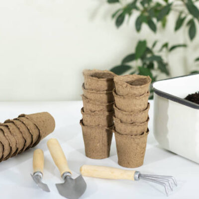 The concept of home gardening