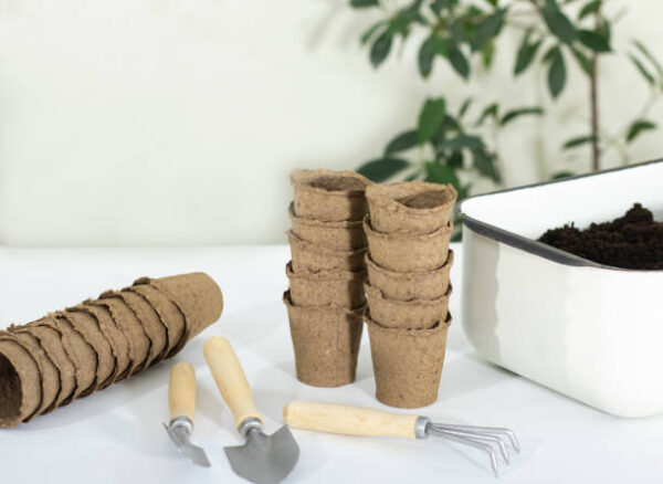 The concept of home gardening