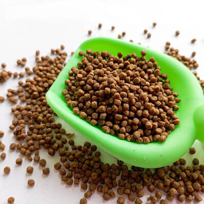 Fish food on a spoon with a white background