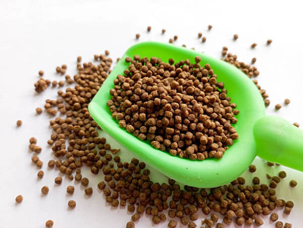 Fish food on a spoon with a white background