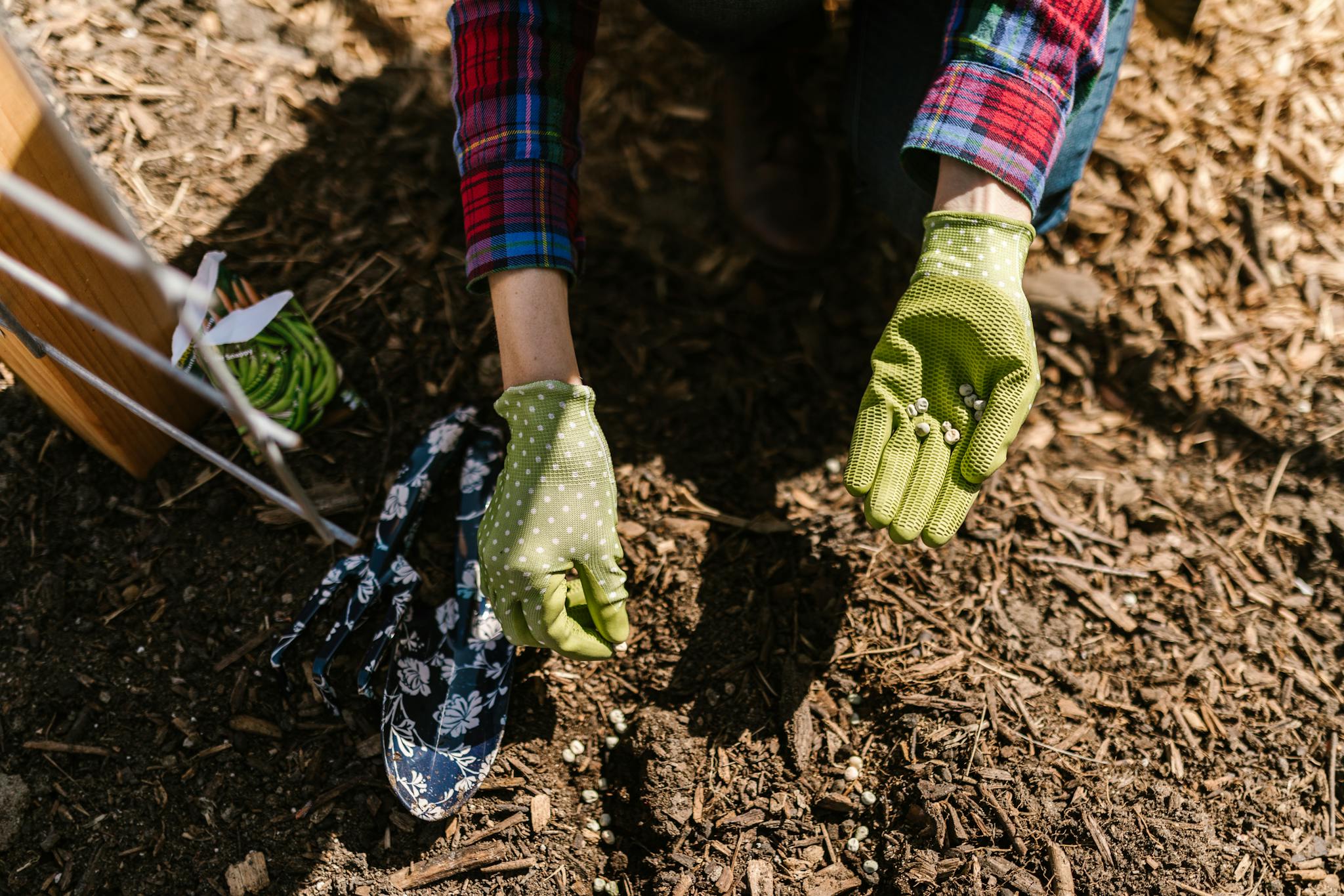 Person in checkered shirt planting seeds with green gloves in a garden.